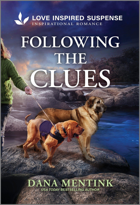Knjiga Following the Clues 