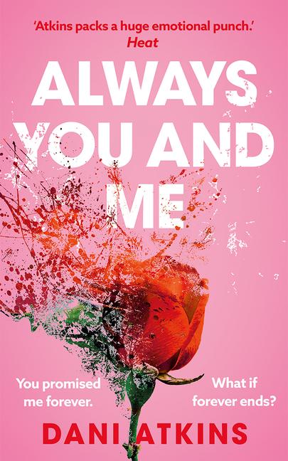 Book Promise Me Dani Atkins