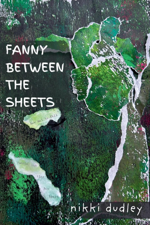 Book Fanny Between The Sheets Nikki Dudley