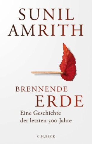 Buch Brennende Erde Annabel Zettel