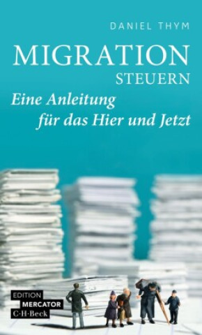 Buch Migration steuern in der Einwanderungsgesellschaft Daniel Thym