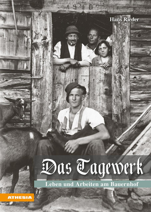 Knjiga Das Tagewerk Hans Rieder