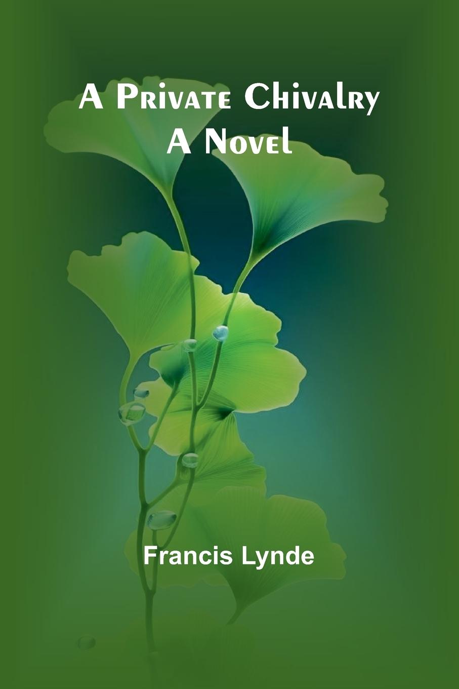Book A private chivalry Francis Lynde