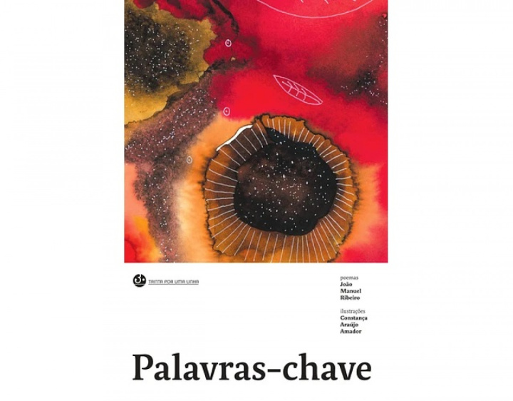 Knjiga PALAVRAS-CHAVE JOÃO MANUEL RIBEIRO