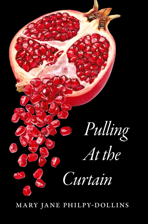 Knjiga Pulling At the Curtain Mary Jane Philpy-Dollins