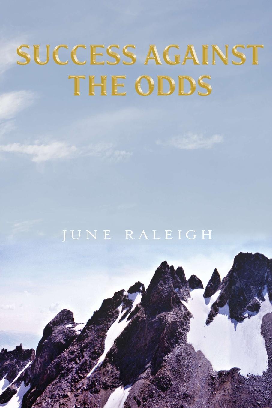 Knjiga Success Against the Odds June Raleigh