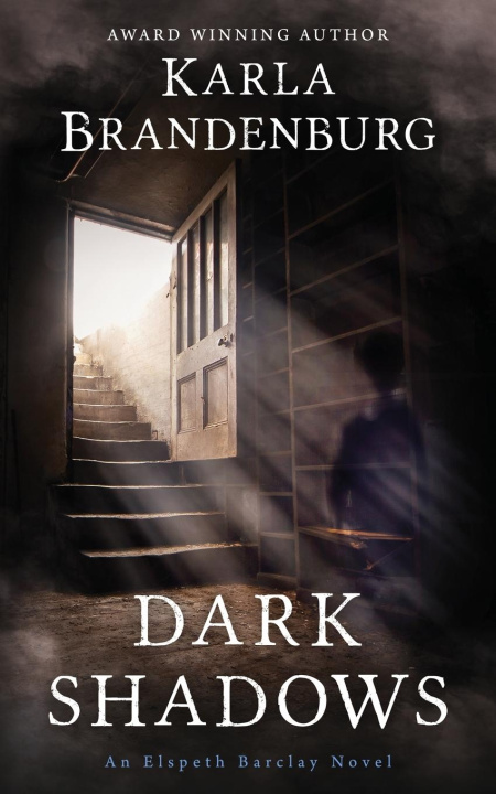 Kniha Dark Shadows Karla Brandenburg