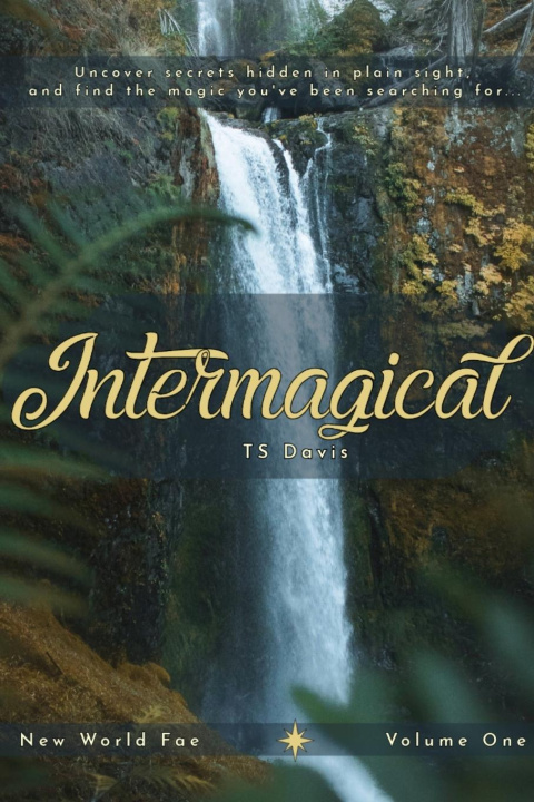 Knjiga Intermagical TS Davis