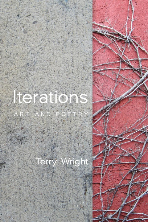 Knjiga Iterations Terry Wright