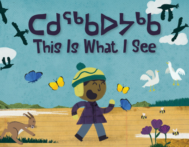 Книга This Is What I See Looee Arreak
