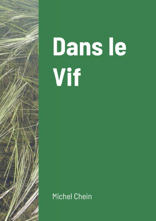 Livre Dans le Vif Michel Chein