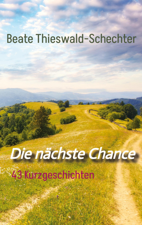 Kniha Die nächste Chance Beate Thieswald-Schechter