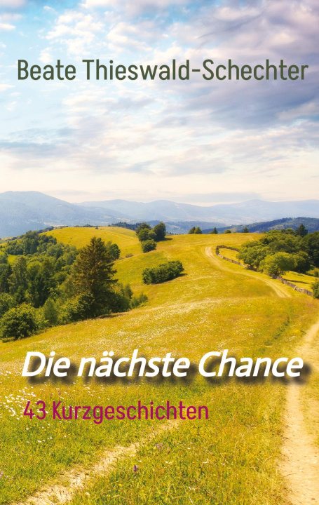 Book Die nächste Chance Beate Thieswald-Schechter