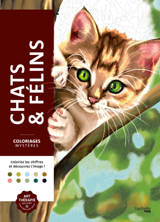 Livre Coloriages mystères - Chats et félins NED 