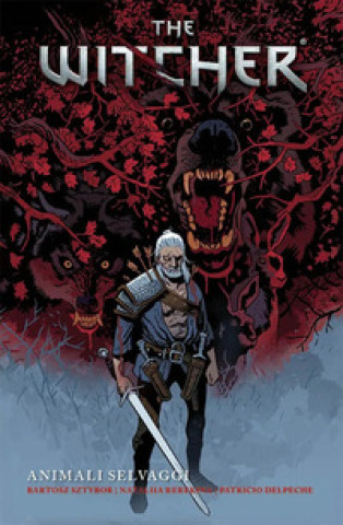 Knjiga witcher Bartosz Sztybor