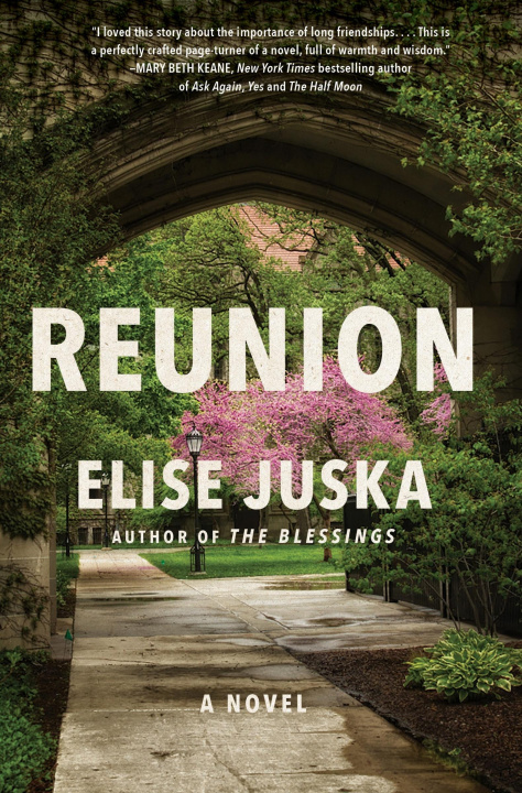 Book Reunion Elise Juska