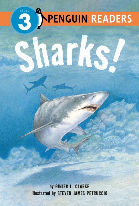 Kniha Sharks! Steven James Petruccio