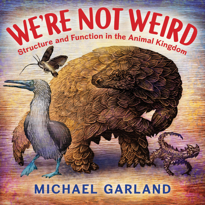 Knjiga We're Not Weird Garland