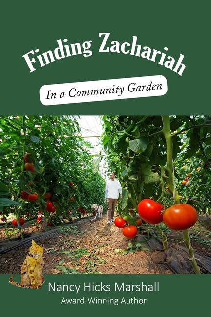 Knjiga Finding Zachariah Nancy Hick Marshall