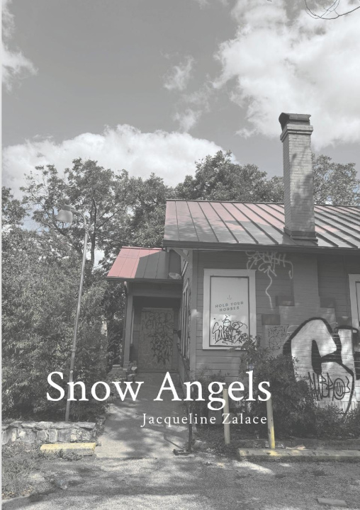 Knjiga Snow Angels Jacqueline Zalace