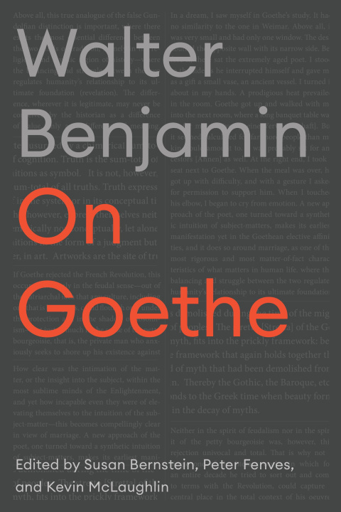 Boek On Goethe Peter Fenves