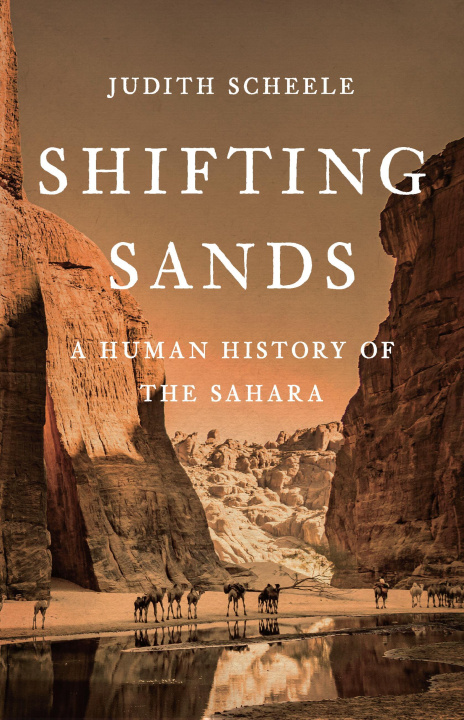Book Shifting Sands SCHEELE JUDITH