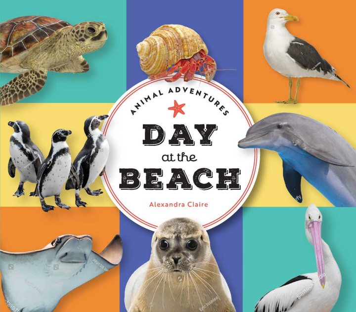 Knjiga Animal Adventures: Day at the Beach CLAIRE ALEXANDRA