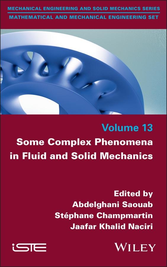 Könyv Some Complex Phenomena in Fluid and Solid Mechanics Stephane Champmartin