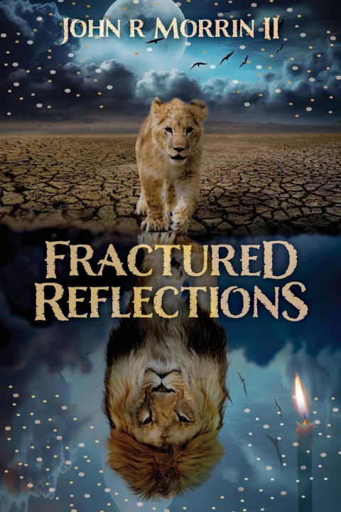 Knjiga Fractured Reflections John Morrin