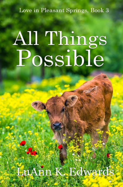 Knjiga All Things Possible LuAnn K. Edwards