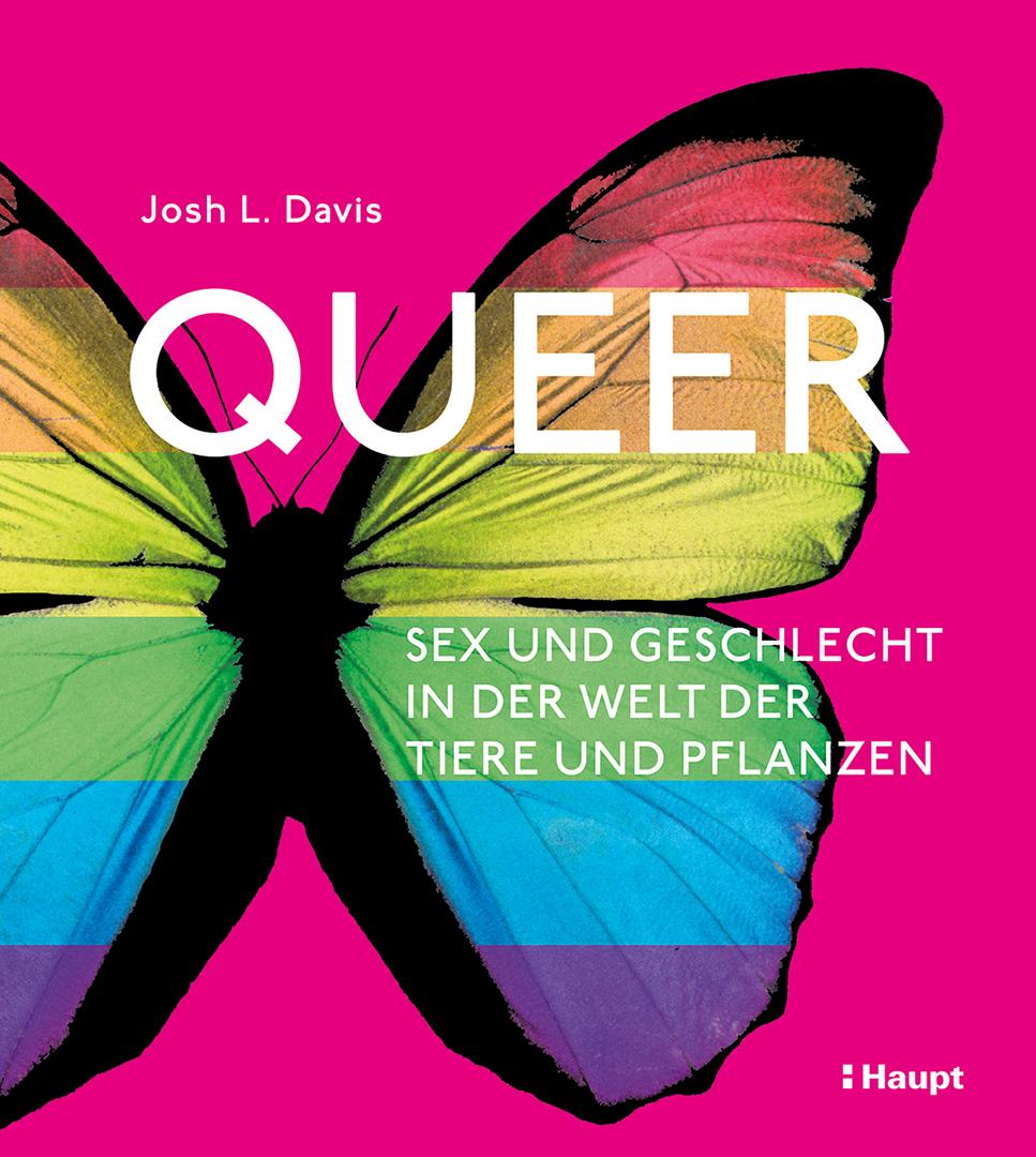Livro Queer Monika Niehaus