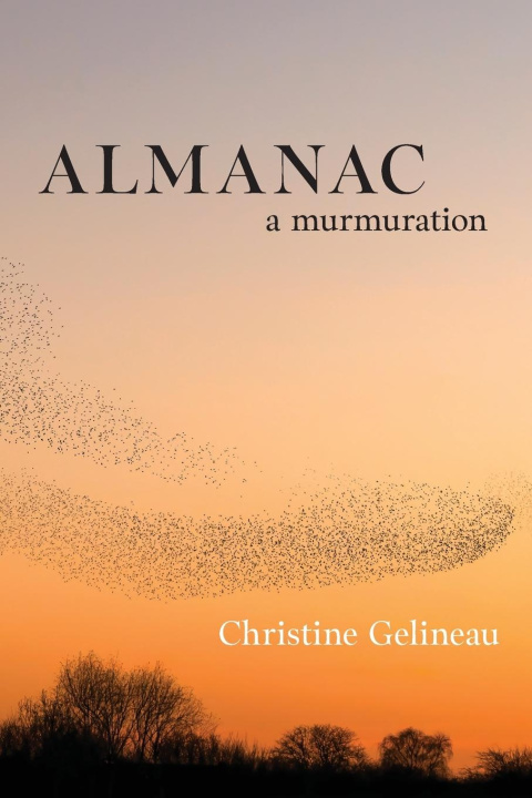 Knjiga Almanac Christine Gelineau