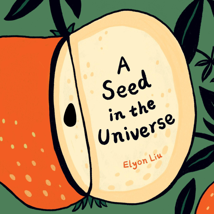 Buch A Seed in the Universe Liu