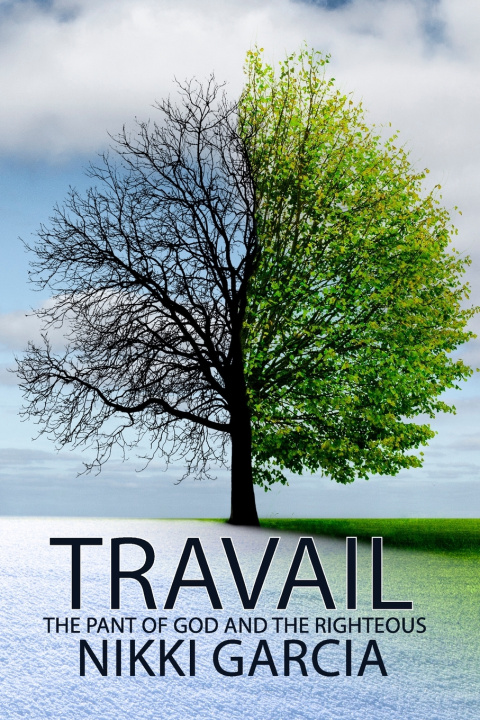 Knjiga Travail Nikki Garcia