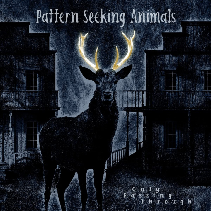Audio  Pattern-Seeking Animals: Only Passing Through Lld. Pattern-Seeking Animals