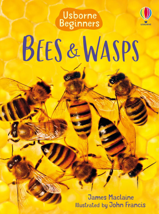 Libro BEES & WASPS MACLAINE JAMES