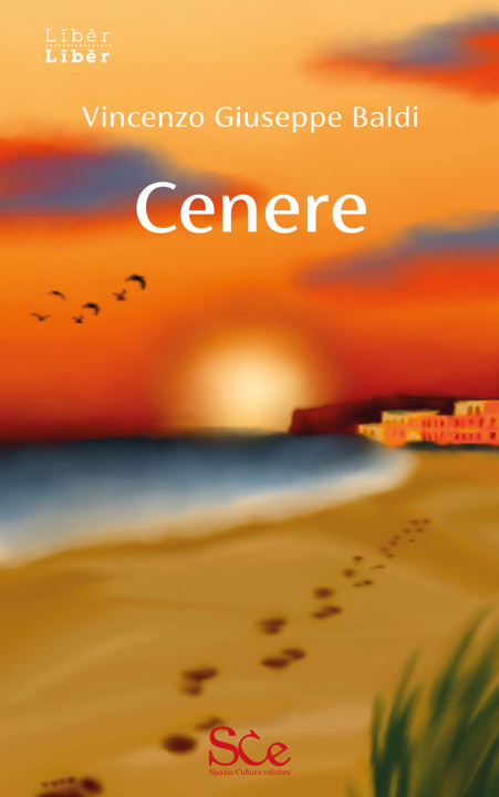 Buch Cenere Vincenzo Giuseppe Baldi