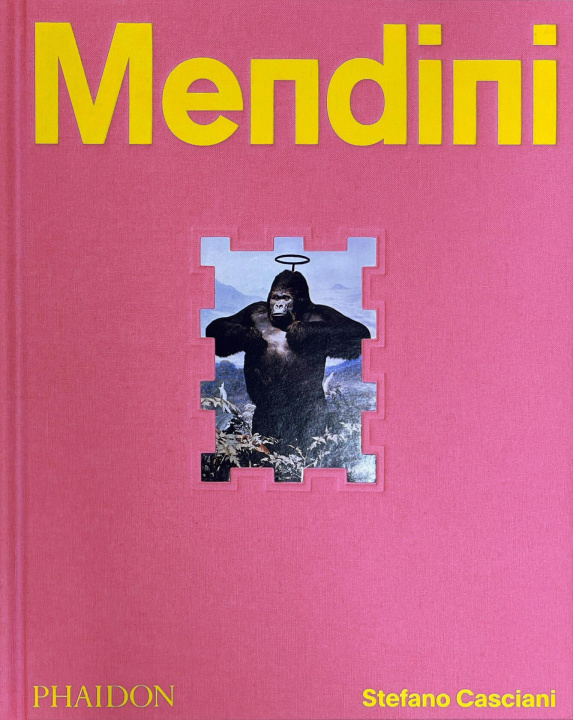Knjiga ALESSANDRO MENDINI CASCIANI STEFANO