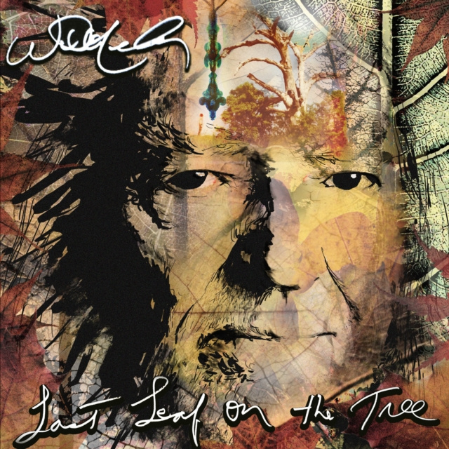 Audio NELSON, WILLIE  LAST LEAF ON THE TREE LEGACY RECORDINGS