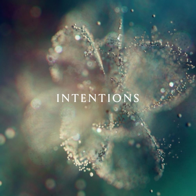 Zvok ANNA  INTENTIONS 3RD PARTIES