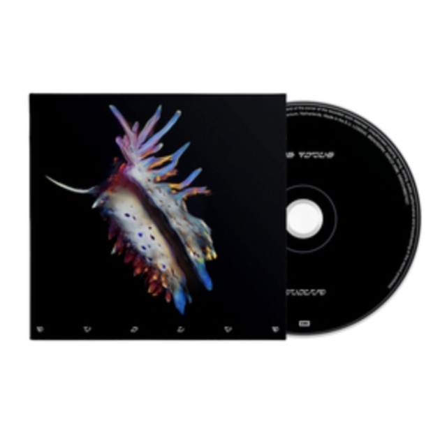 Zvok SUB FOCUS  EVOLVE EMI UK