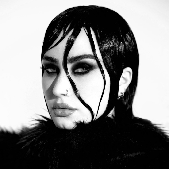 Audio Demi Lovato: Revamped LP Demi Lovato