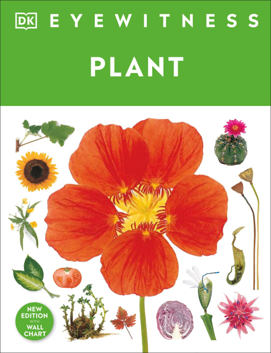 Libro Eyewitness Plant DK