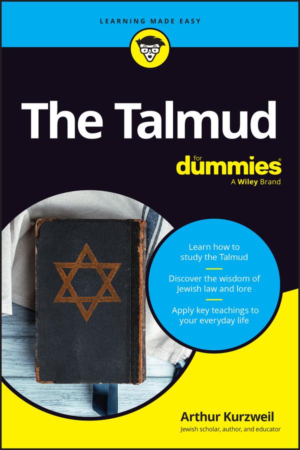 Libro Talmud for Dummies Kurzweil