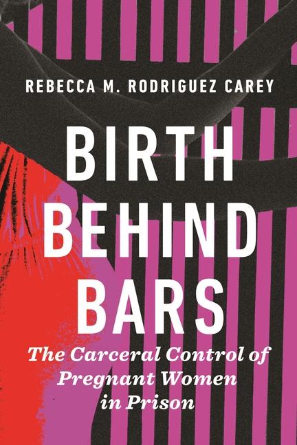 Knjiga Birth Behind Bars Rebecca M. Rodriguez Carey
