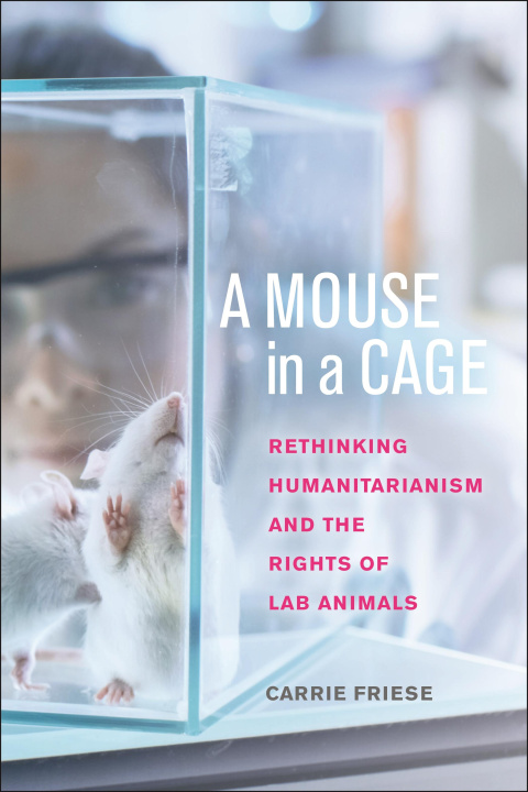 Book A Mouse in a Cage Carrie Friese