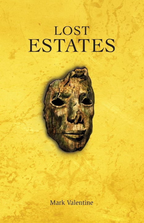 Knjiga Lost Estates Mark Valentine