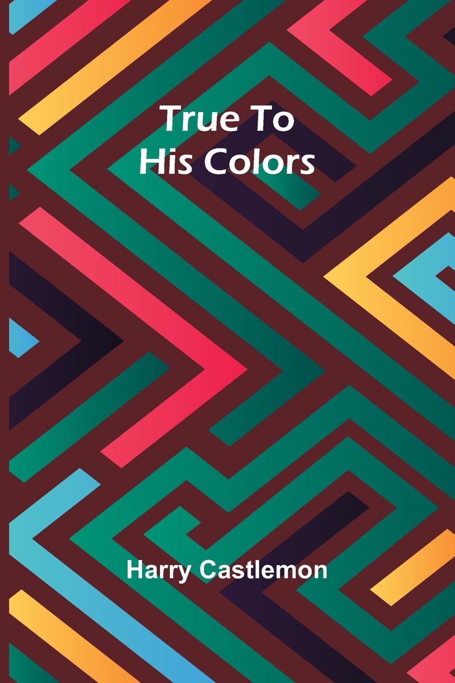 Knjiga True To His Colors Harry Castlemon