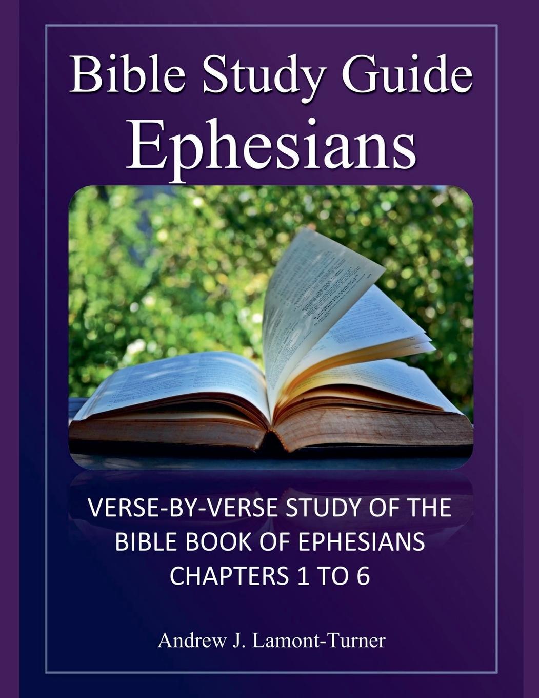 Knjiga Bible Study Guide Andrew J. Lamont-Turner