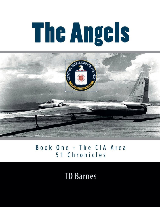 Knjiga The Angels TD Barnes